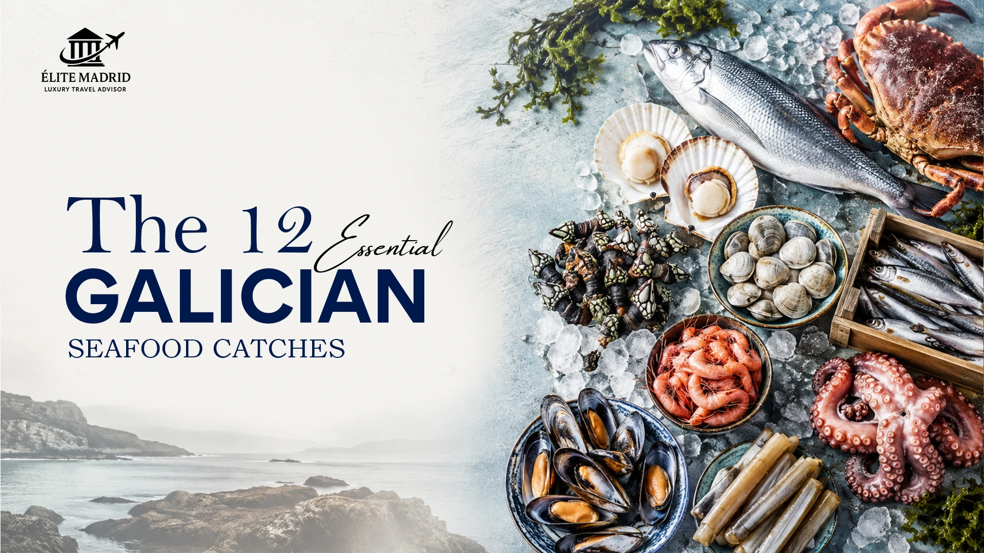 The 12 Essential Galician Seafood Catches