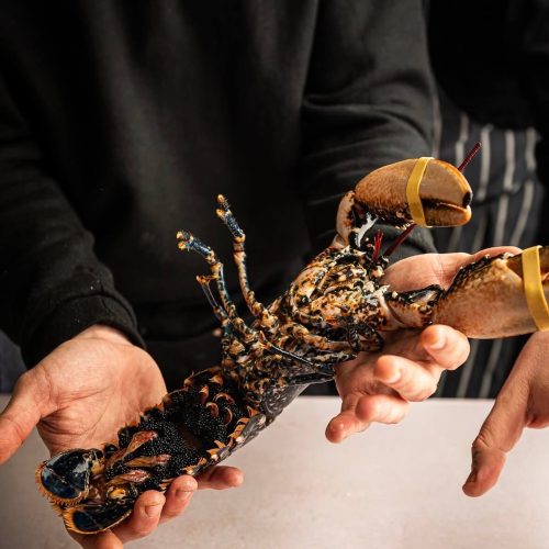 Freshly sourced lobster, bringing the true taste of the ocean straight to your table with unmatched quality and flavor.